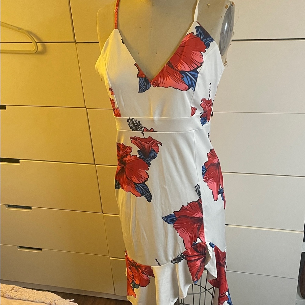 Floral Print Sleeveless Dress